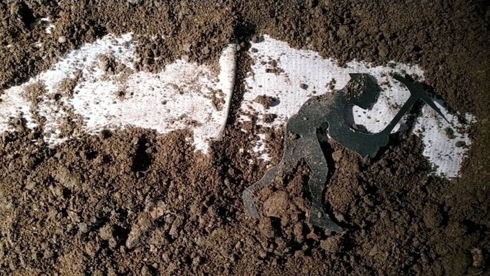 A Mulher Pássaro A Mulher Pássaro