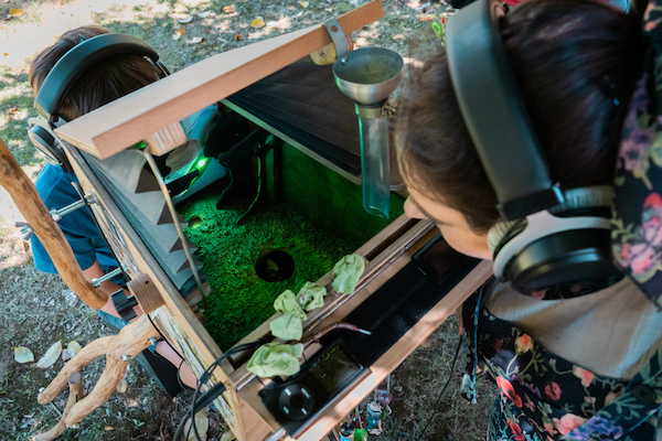 Cloud Tree Cloud Tree