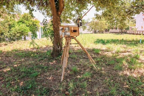 Cloud Tree Cloud Tree