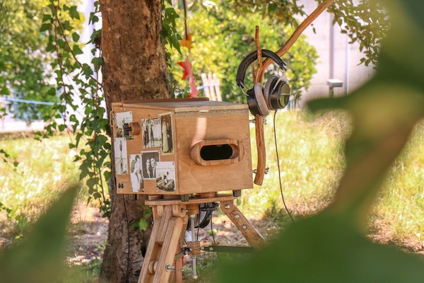 Cloud Tree Cloud Tree