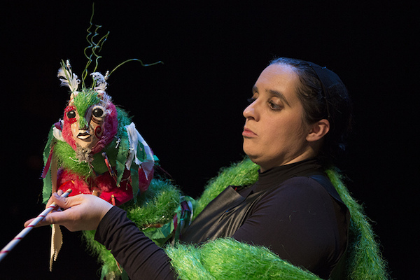 capucha vermelha capucha vermelha