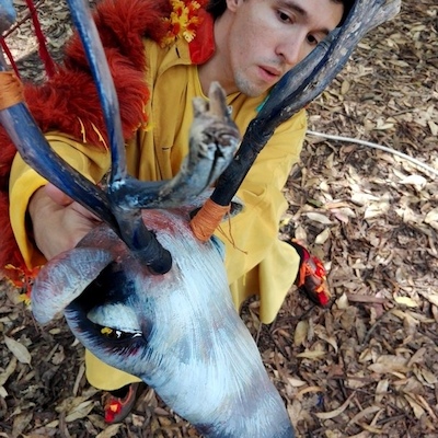 A Floresta A Floresta