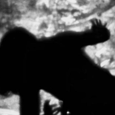 O Gato Preto O Gato Preto