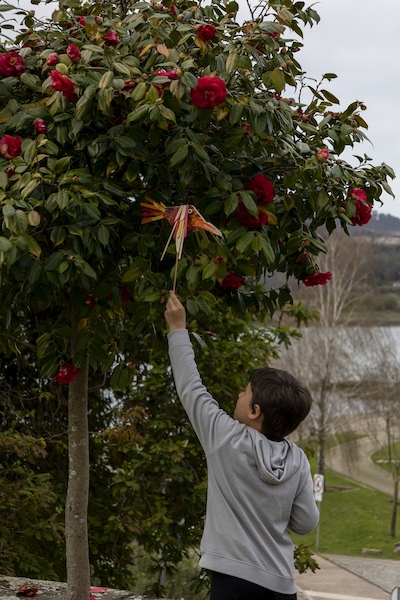 Oficina Vestir a Primavera Oficina Vestir a Primavera