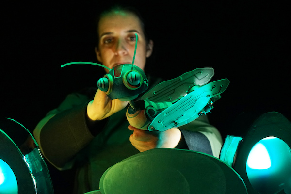 O Guardião dos Vagalume O Guardião dos Vagalume