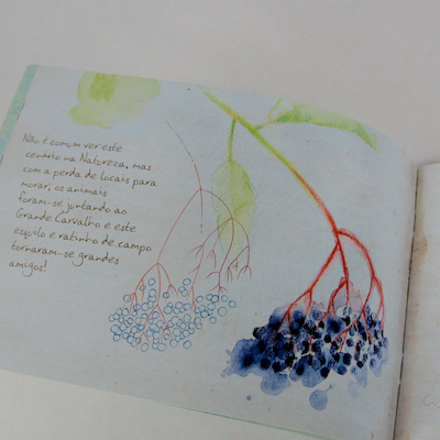 o Refúgio - a arte de proteger a floresta o Refúgio - a arte de proteger a floresta