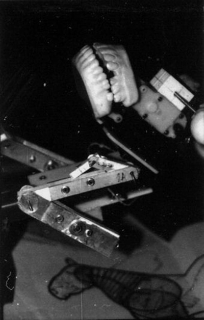 PLETORA - modus vivendi PLETORA - modus vivendi