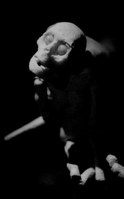 PLETORA - modus vivendi PLETORA - modus vivendi