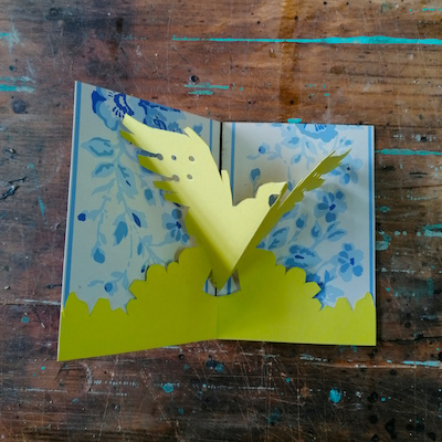 Oficina de Criação de Pássaros Oficina de Criação de Pássaros