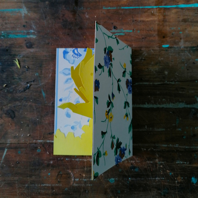 Oficina de Criação de Pássaros Oficina de Criação de Pássaros