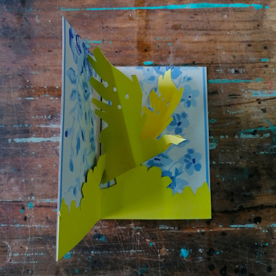 Oficina de Criação de Pássaros Oficina de Criação de Pássaros