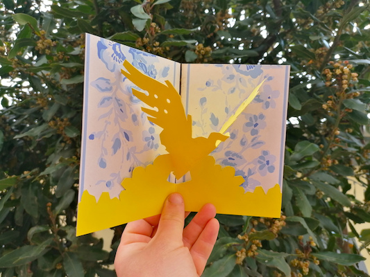 Oficina de Criação de Pássaros Oficina de Criação de Pássaros