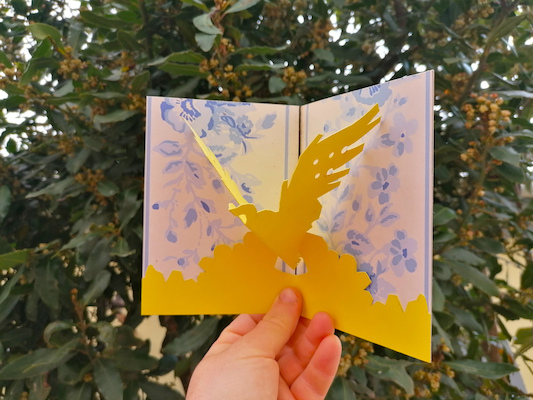 Oficina de Criação de Pássaros Oficina de Criação de Pássaros