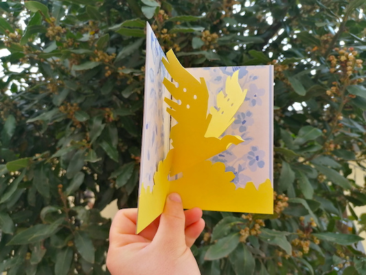 Oficina de Criação de Pássaros Oficina de Criação de Pássaros